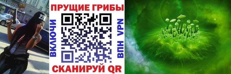 hydra ТОР  купить   Данков  Псилоцибиновые грибы Magic Shrooms 